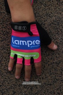 2014 Lampre Gants Ete Ciclismo